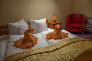 Отели типа «постель и завтрак» Motelik Lord Гожув-Велькопольски Двухместный номер с 1 кроватью-7