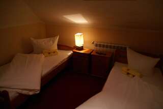Отели типа «постель и завтрак» Motelik Lord Гожув-Велькопольски Двухместный номер с 2 отдельными кроватями-4